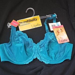 Lilyette Minimizer Bra 36C